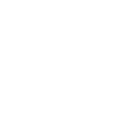 raizen-01.webp