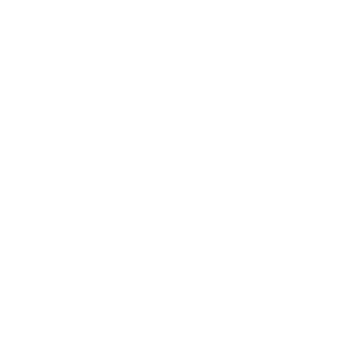 regina-01.webp