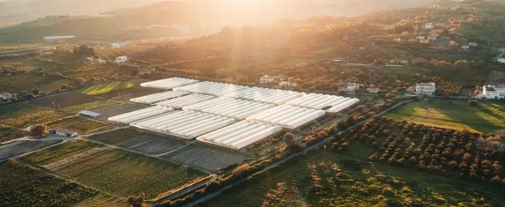 Vista aérea de placas solares à luz do pôr-do-sol para artigo sobre concessionária de energia